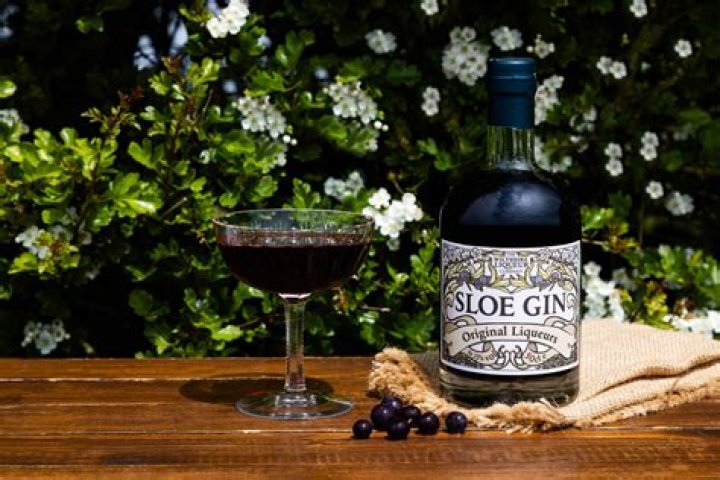 Can sloe gin go bad