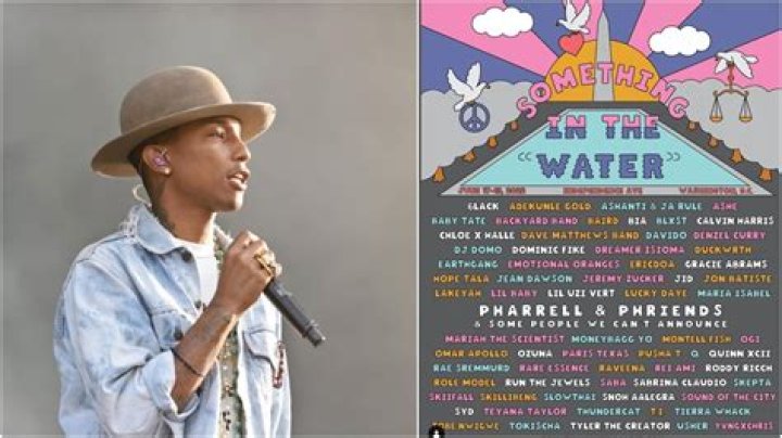 Davido, Adekunle Gold, Others To Perform At Pharrell Williams’ ‘Something In The Water’ Festival
