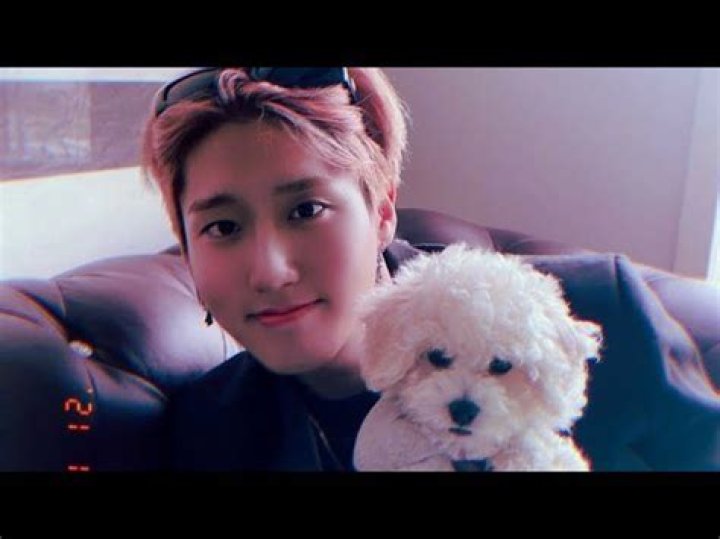 Han Jisung Children: Does Han Jisung Have Any Children?