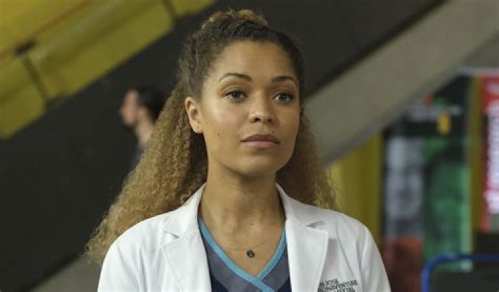 Hill Harper Leaving the Good Doctor: Why is Hill Harper Leaving the Good Doctor?
