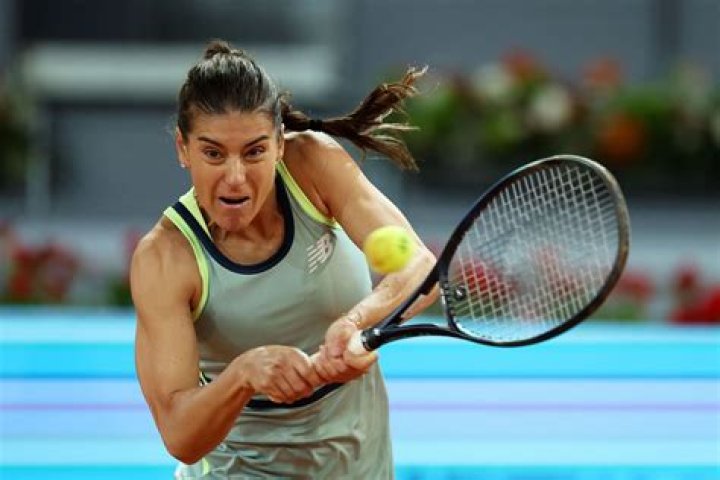 How much is Liliana Cirstea’s net worth: What is Her Net Worth