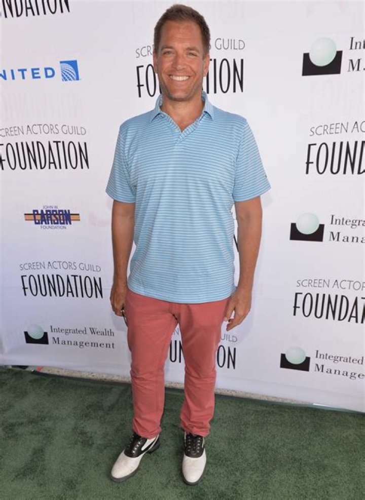 How much is Michael Weatherly's net worth today