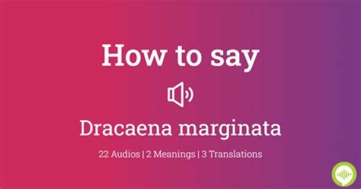 How to pronounce dracaena