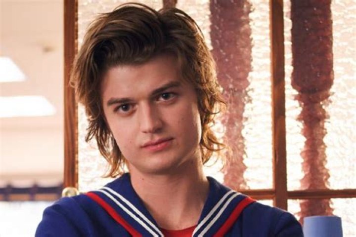 Inside The Life Of Famous American Actor Joe Keery: Biography, Net Worth & More, Brief Intro 