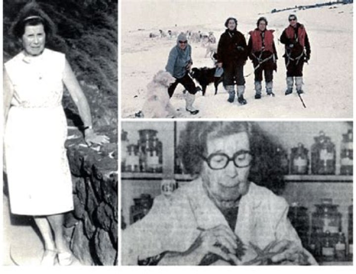 Irene Bernasconi: Google Doodle Celebrates Argentine Marine Biologist