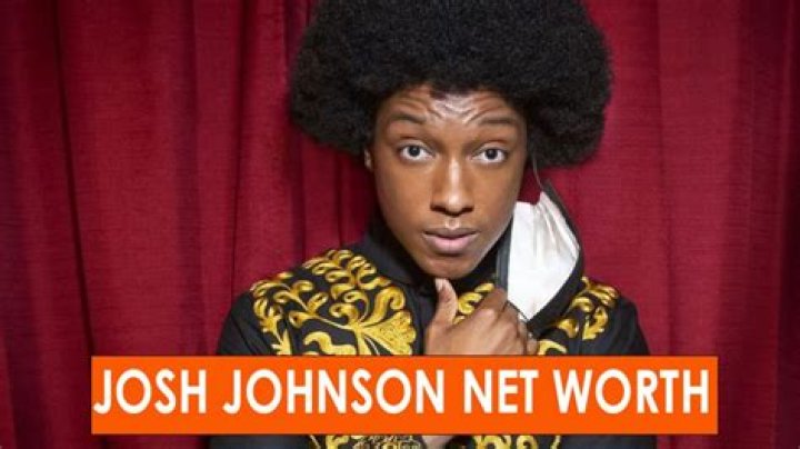 Josh Johnson Net Worth: How much is Josh Johnson worth?
