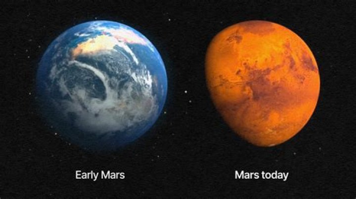 Mars Williams Death: When Did Mars Williams Die?