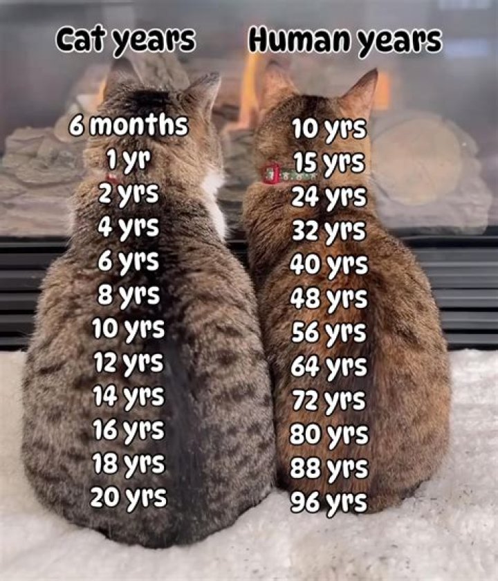 Nicksface1 Instagram Age: How old is CEO of Positivity Gang Nicksface1?