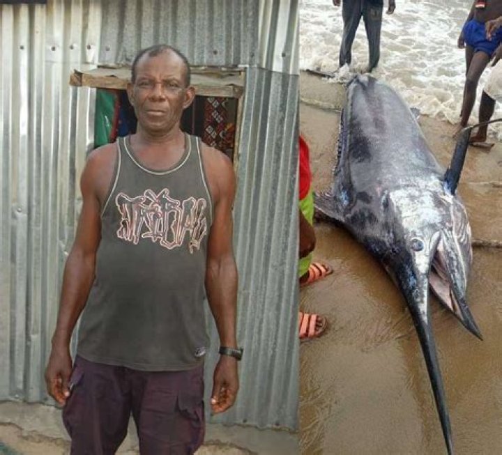 Nigerian Man Reportedly Catches A Blue Marlin Fish Which Is Worth $2.6 Million And Ate It With His Village People