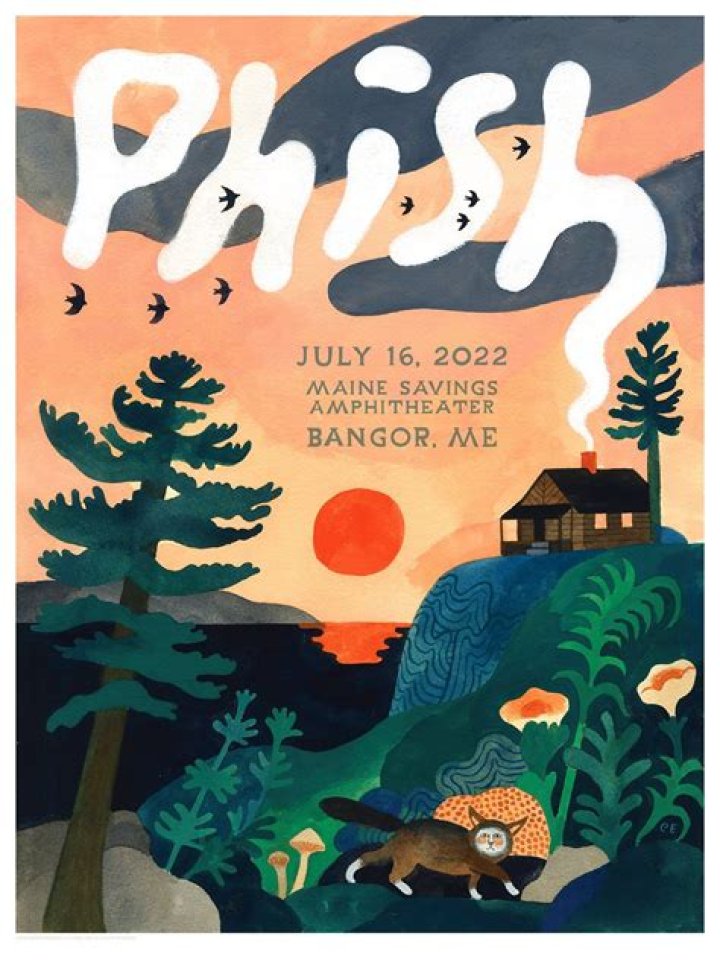 Phish’s
Strange Design Lyrics