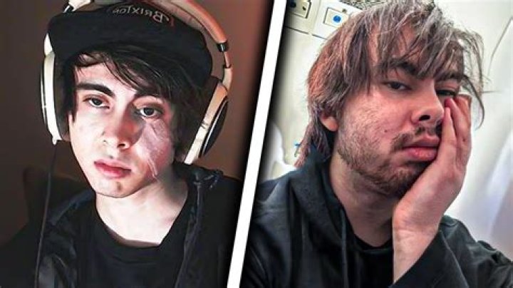 Remember LeafyIsHere? Who did he date, Brief Intro