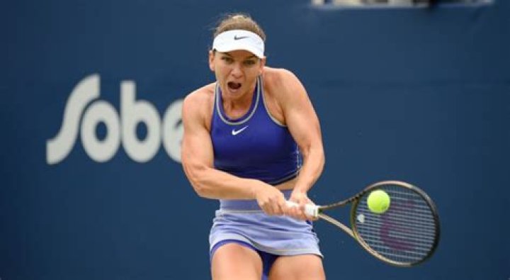 Simona Halep Children: Does Simona Halep have children?