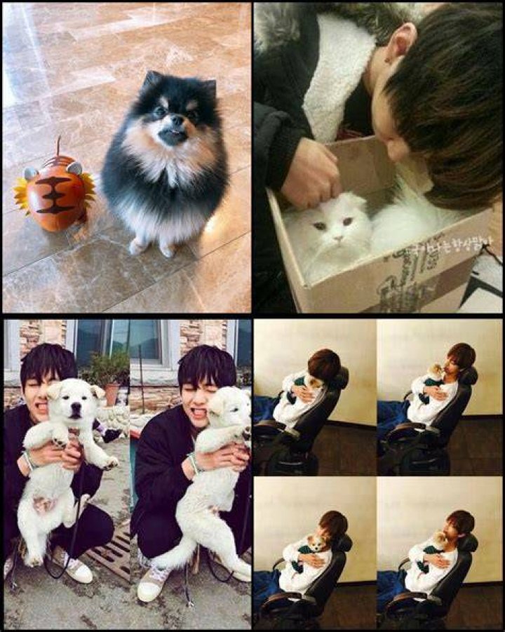 Taehyung’s children: Does Taehyung Have Children?