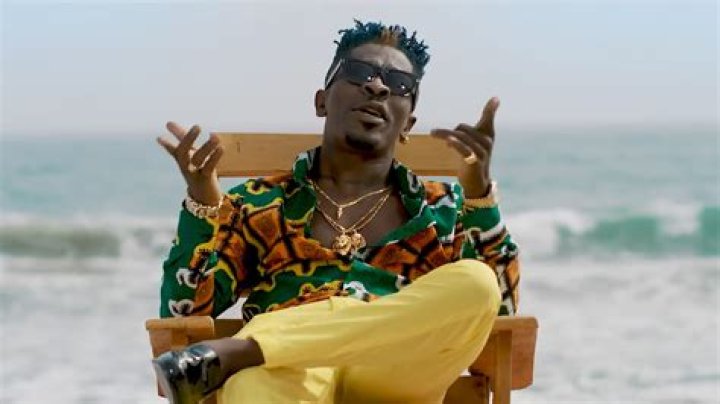VIDEO: Shatta Wale Displays His D*CK In A Swimming Pool And Social Media Is Buzzing