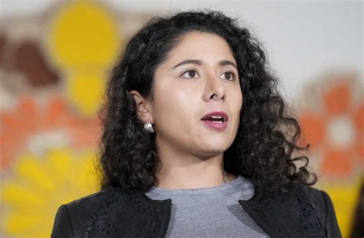What Is Harris County Judge Lina Hidalgo Salary? Everything On Her Husband And Married Life