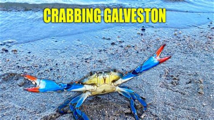 Where can i go crabbing in galveston