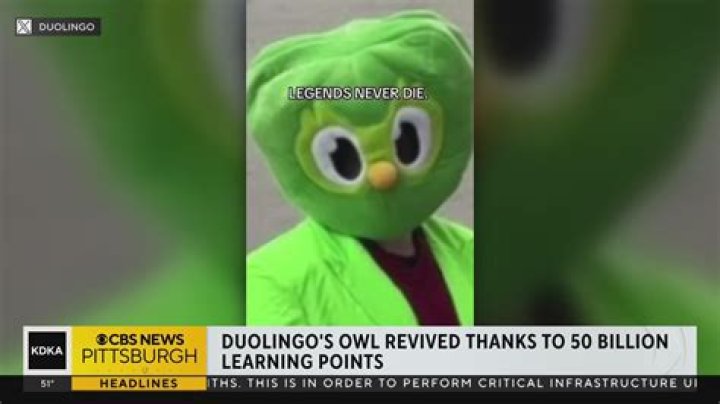 Who Is Duolingo On TikTok? The Big Green Owl Taking The Internet World By Storm
