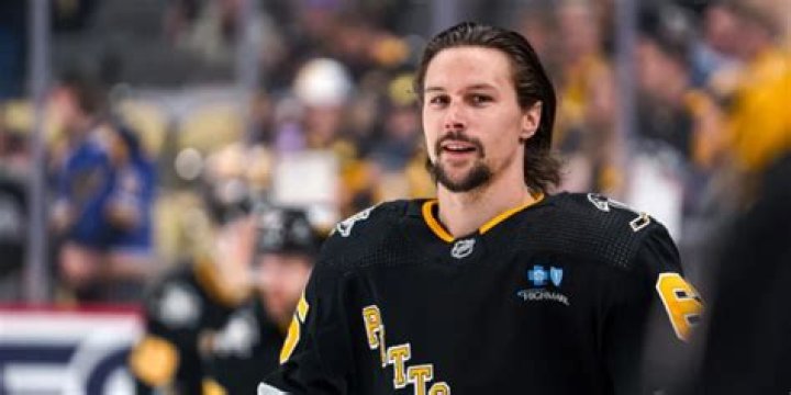 Who Is Erik Karlsson?, Age, Height, Weight, Family, Net Worth