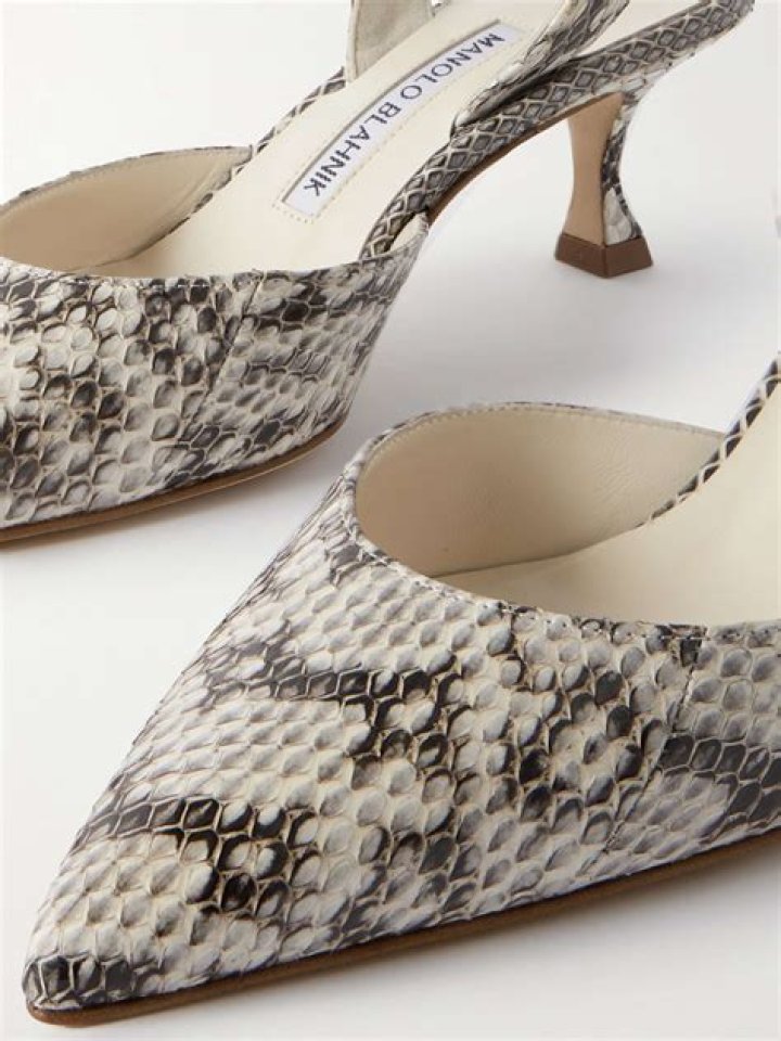Who is Manolo Blahnik (designer)? Find Net Worth, Quote, Awards, Fact, Wiki